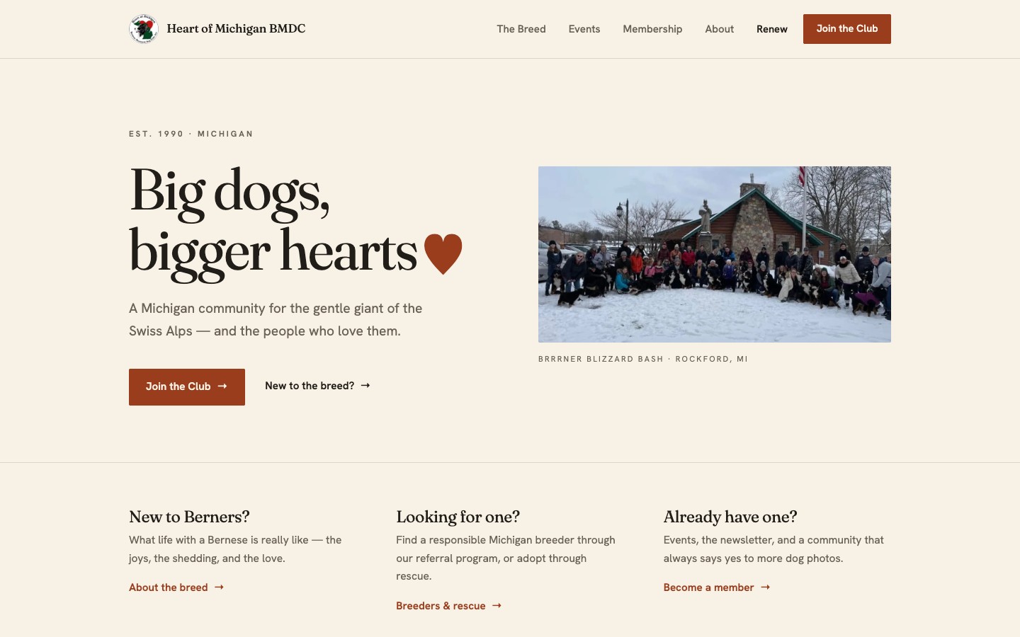 Minimalist homepage preview